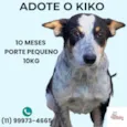 Kiko