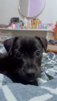 Bonnie
