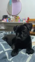 Bonnie