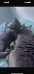 Zury e Zara