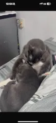Zury e Zara
