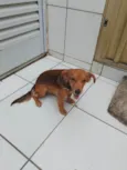 Baltazar 