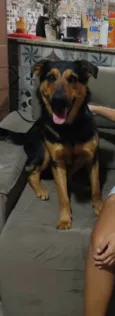 Scooby 