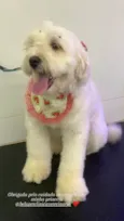 Estrela ??