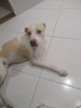 Scooby
