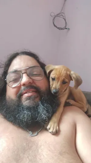 Cachorro raça SRD-ViraLata idade 1 ano nome Maya