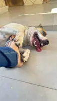 Frida