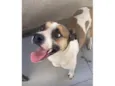 Frida