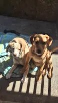 Mel e Max