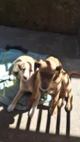 Mel e Max