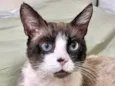 Fabrício 