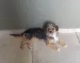 Preta