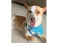 Doby