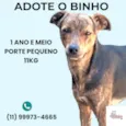 Binho