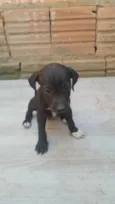 Não tem nome