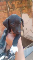 Não tem nome 