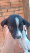 Não tem nome