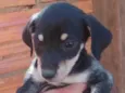 Não tem nome