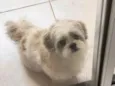 Lucky