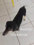 Pretinho