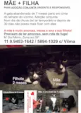 GATINHAS LINDAS: SOU LAR TEMPORÁRIO, ADOÇÃO CONJUNTA