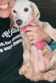 Jolie
