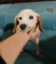 Jolie
