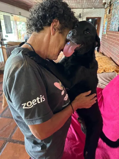 Cachorro raça SRD-ViraLata idade 3 anos nome Oreo