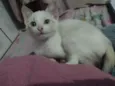 Sophie