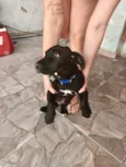 Lui bb4meses porte P