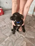 Lui bb4meses porte P