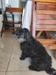 Bella