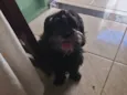 Bella