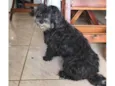 Bella