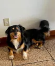 Boris