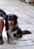 Boris