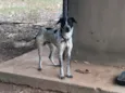 Faísca 