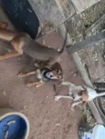 Não tem nomes 