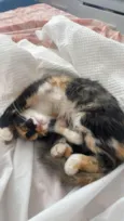 Zoe