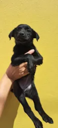Zoe