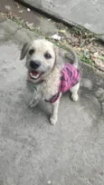 Billy