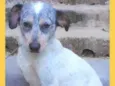 Faísca