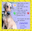 Janjão