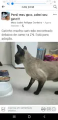Capucchino