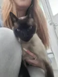 Capucchino