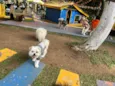 Bob