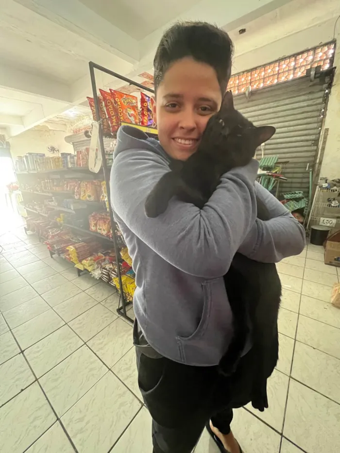 Gato ra a SRD-ViraLata idade 4 anos nome Jonh Wick