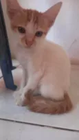 Príncipe
