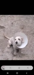Bebê