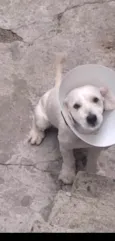 Bebê 